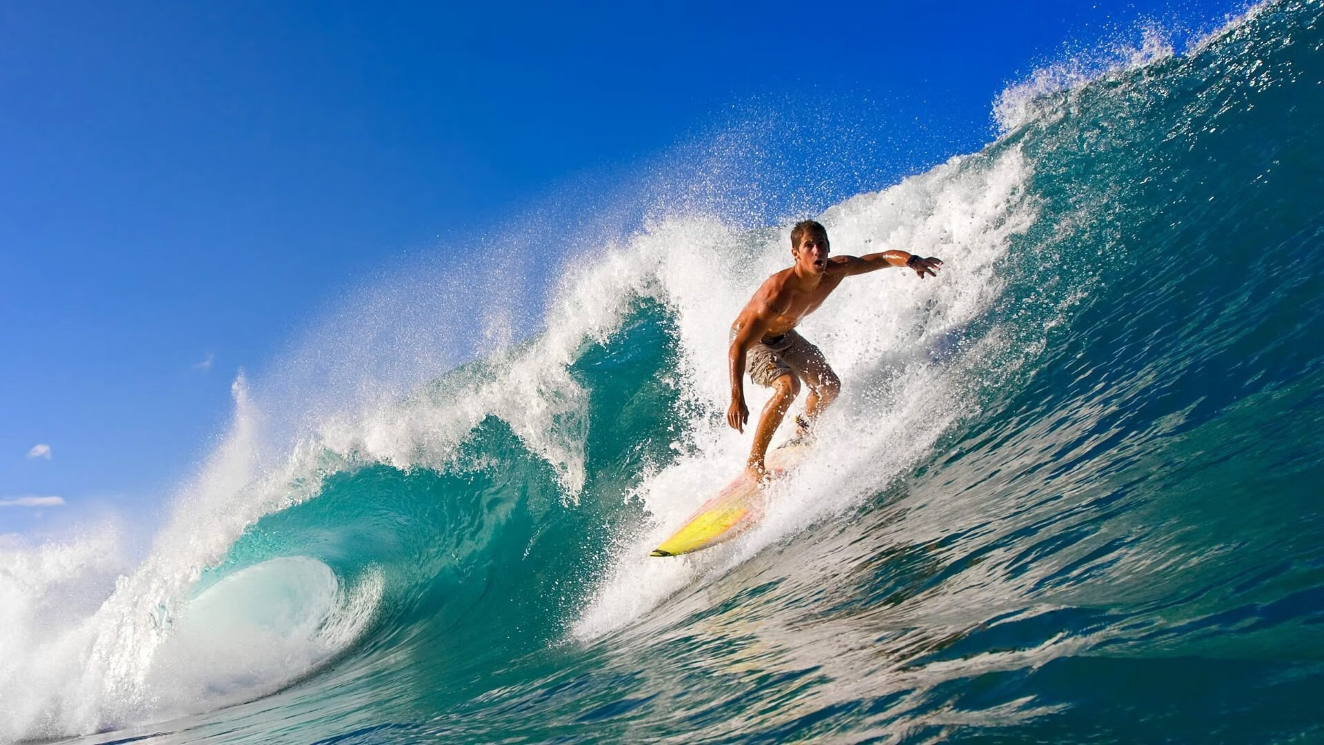 50米蛙泳巅峰对决 覃海洋不留遗憾,游泳运动员覃海洋