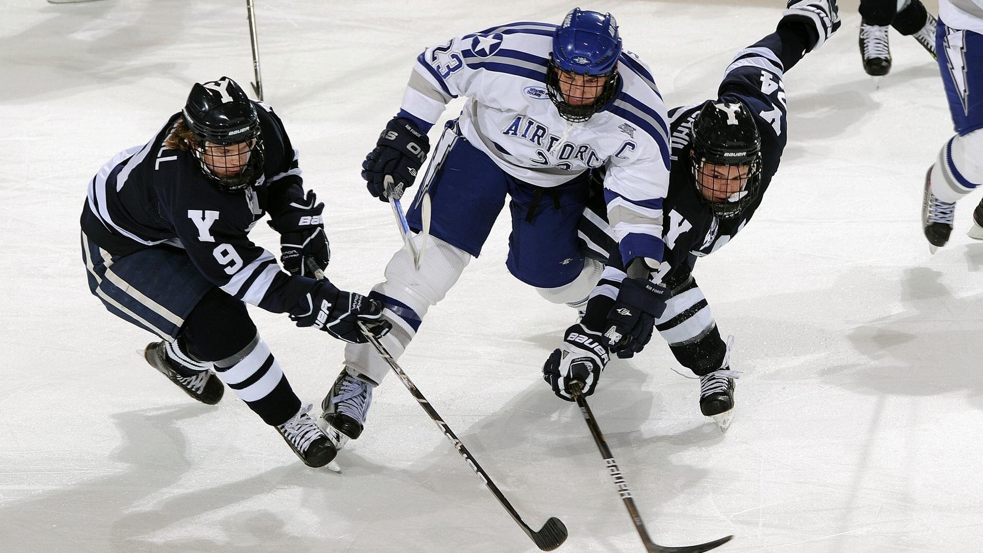 本土球员迎来突破赛季，本土球星
